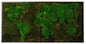Moosbild "Weltkarte" 60x120 cm, schwarzer Rahmen