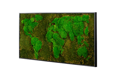 Moosbild "Weltkarte" 60x120 cm, schwarzer Rahmen