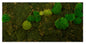Moosbild "Mix Moos" 60x120 cm, weißer Rahmen