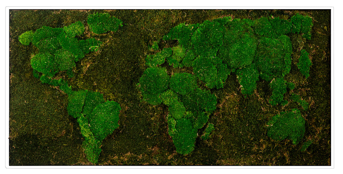 Moosbild "Weltkarte" 60x120 cm, weißer Rahmen