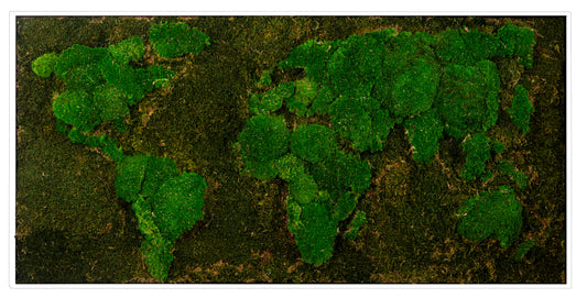 Moosbild "Weltkarte" 60x120 cm, weißer Rahmen