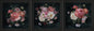 3er-Set gerahmte Bilder BLUMEN 3x23x23 cm – Deko modern