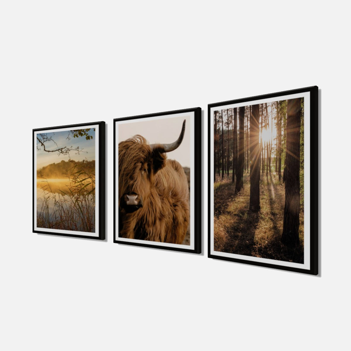 3er-Set gerahmte Bilder NATUR HOCHLANDRIND 3x30x40 cm – Rustikale Deko - Seitenansicht