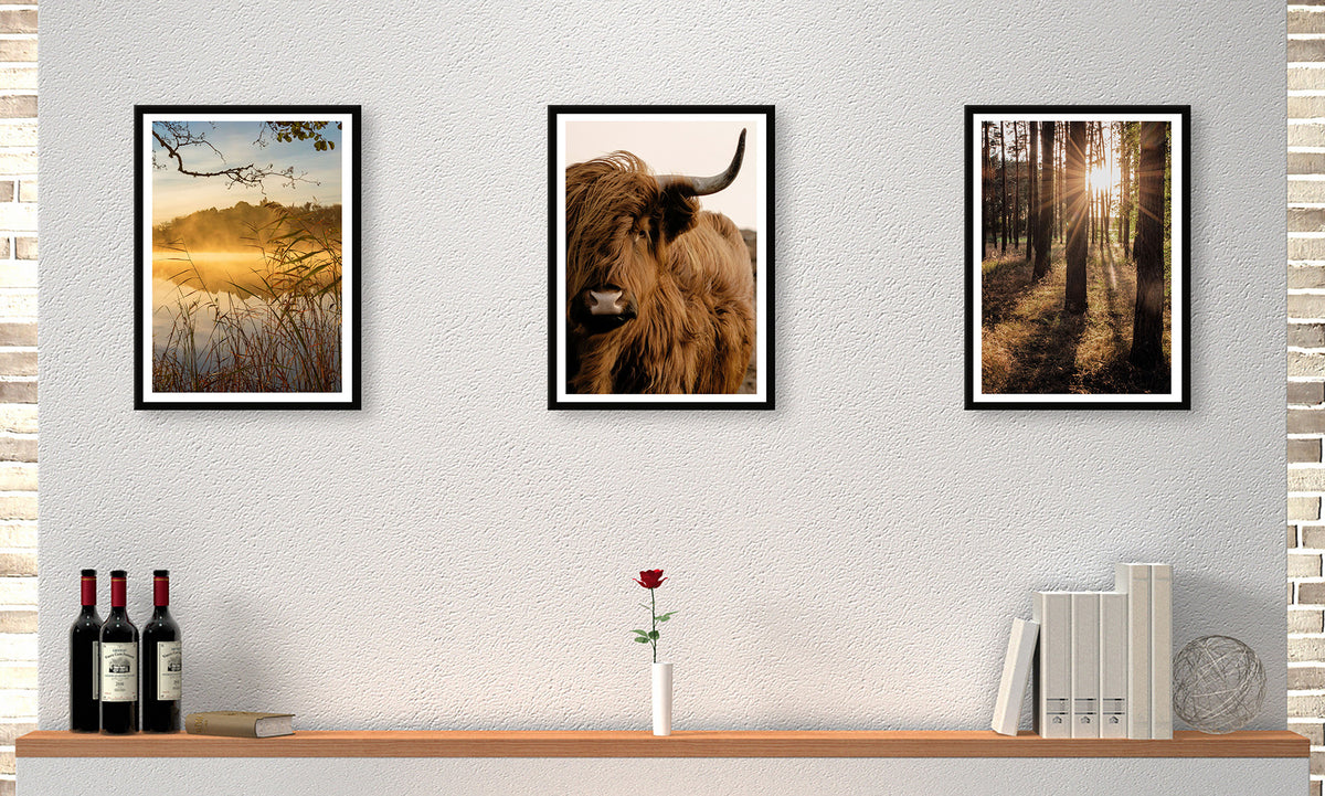 3er-Set gerahmte Bilder NATUR HOCHLANDRIND 3x30x40 cm – Rustikale Deko - Ambiente 1