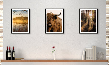 3er-Set gerahmte Bilder NATUR HOCHLANDRIND 3x30x40 cm – Rustikale Deko - Ambiente 1