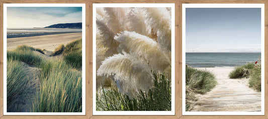 3er-Set gerahmte Bilder STRAND PAMPAS 3x30x40 cm – Boho Wanddeko Natur