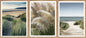 3er-Set gerahmte Bilder STRAND PAMPAS 3x30x40 cm – Boho Wanddeko Natur