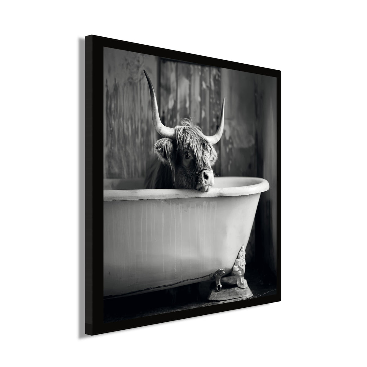 Wandbild gerahmt HOCHLANDRIND IM BAD 35x35 cm – Tierbild Natur Wanddeko - Seitenansicht