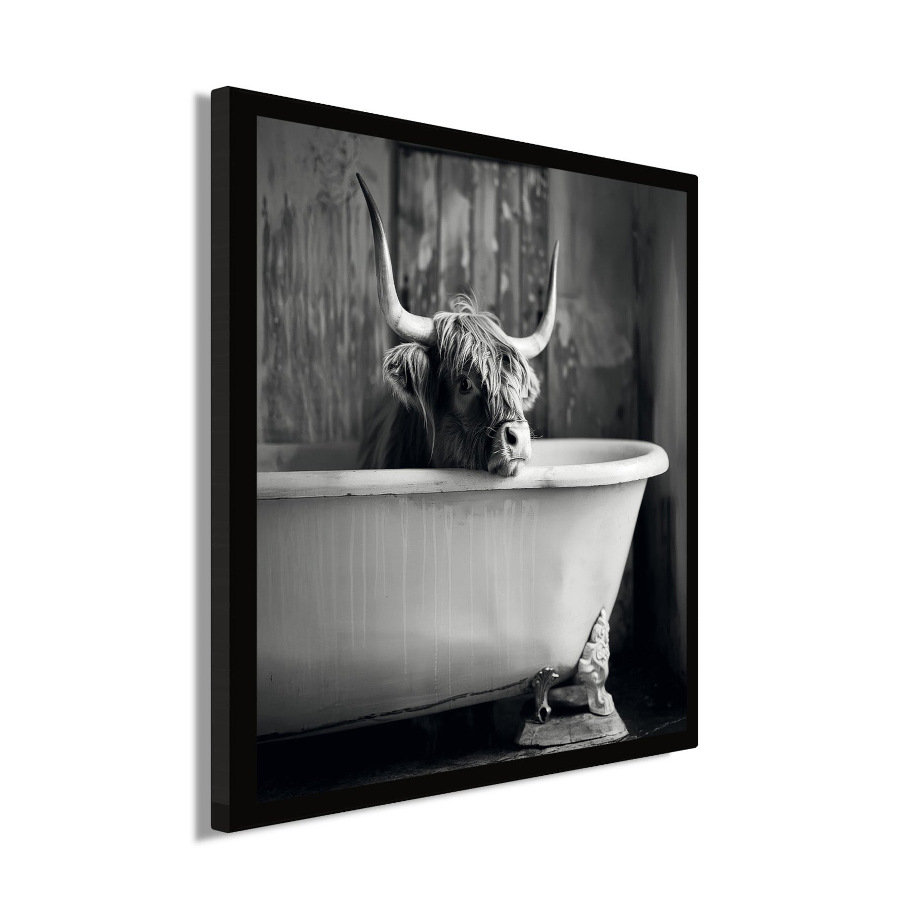 Wandbild gerahmt HOCHLANDRIND IM BAD 35x35 cm – Tierbild Natur Wanddeko - Seitenansicht