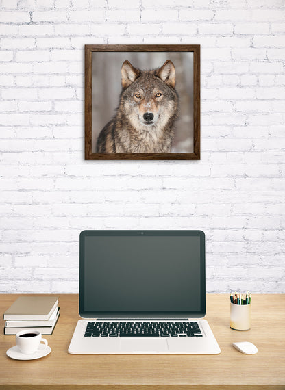 Wandbild gerahmt WOLF 35x35 cm – Tierbild Natur Wanddeko - Ambiente 1
