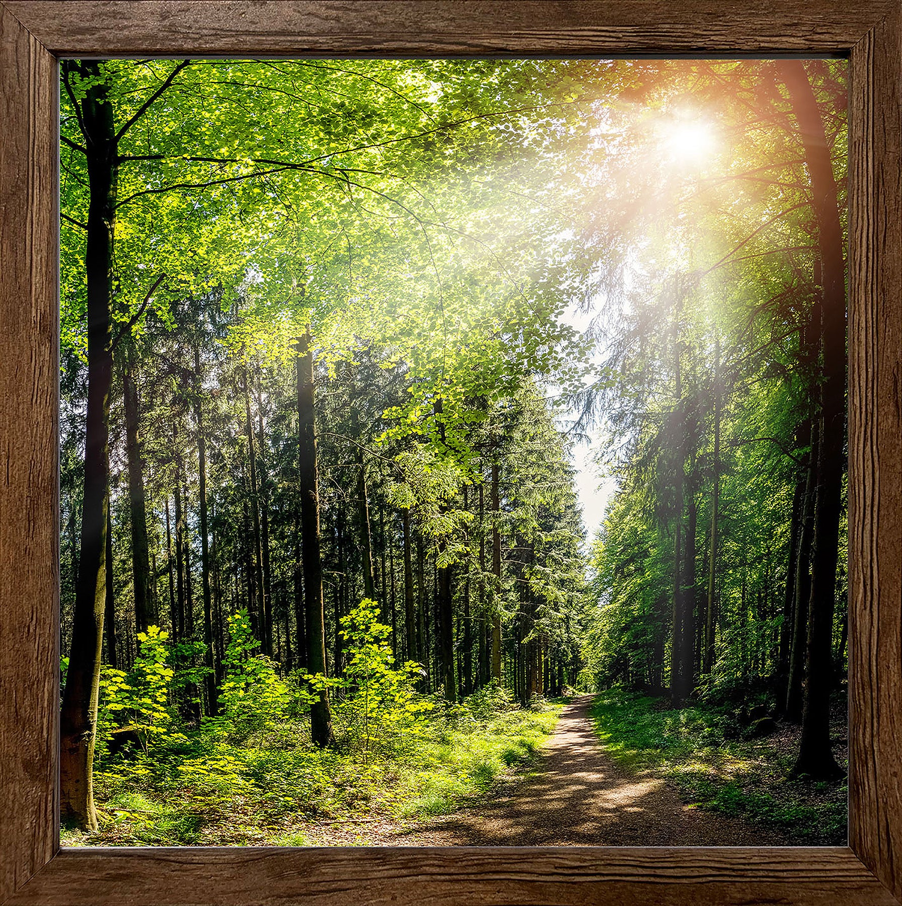 Wandbild gerahmt WALDWEG 35x35 cm – Natur Wanddeko modern