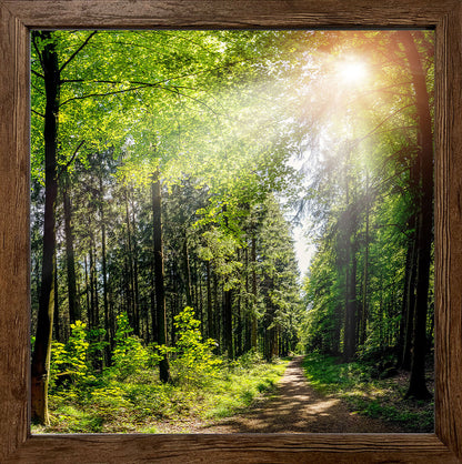 Wandbild gerahmt WALDWEG 35x35 cm – Natur Wanddeko modern