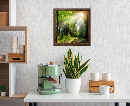 Wandbild gerahmt WALDWEG 35x35 cm – Natur Wanddeko modern - Ambiente 2