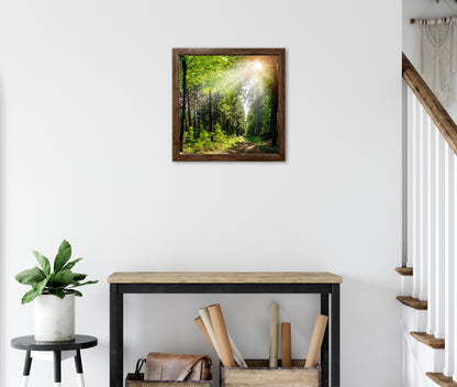 Wandbild gerahmt WALDWEG 35x35 cm – Natur Wanddeko modern - Ambiente 3