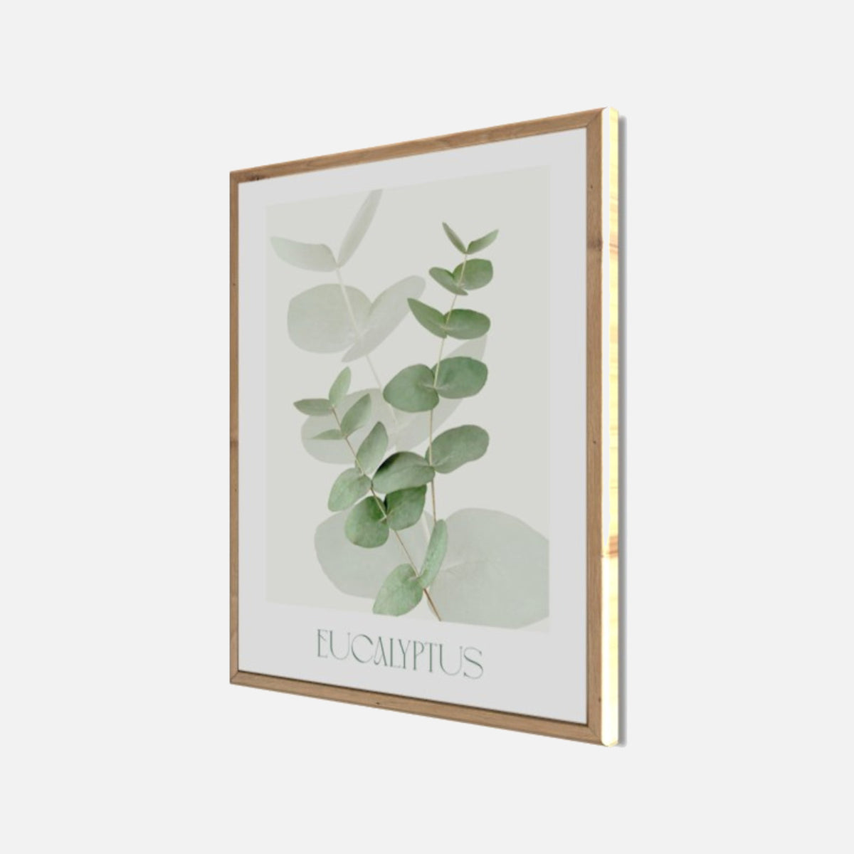 Wandbild gerahmt EUCALYPTUS 40x50 cm – Botanik Wanddeko Boho Scandi - Seitenansicht
