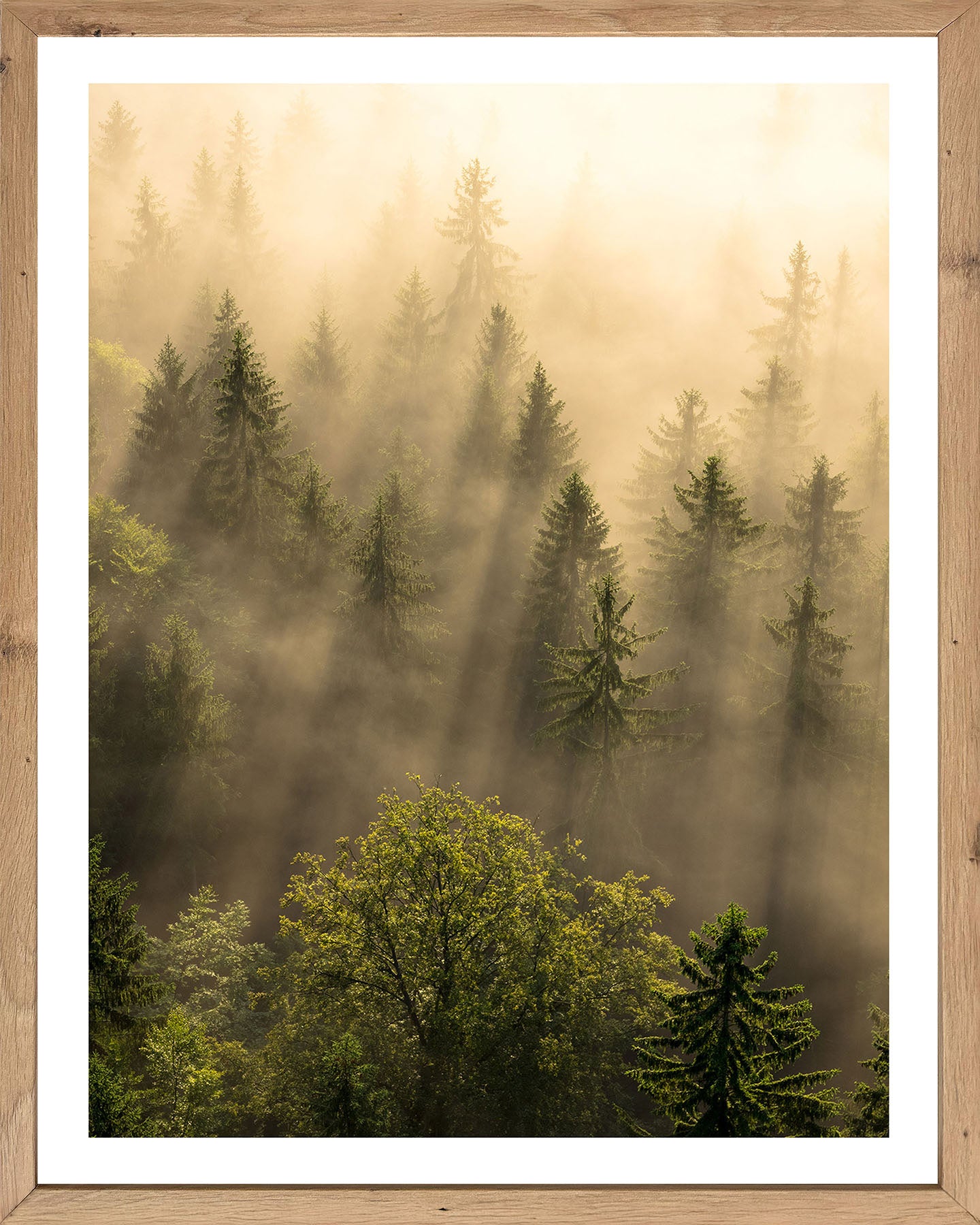 Wandbild gerahmt WALD IM NEBEL 40x50 cm – Wanddeko modern