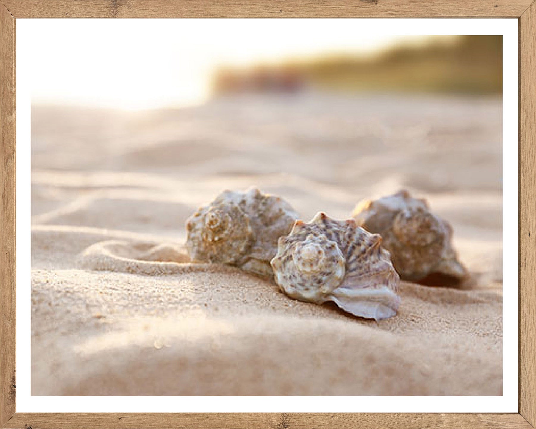 Wandbild gerahmt MUSCHELN AM STRAND 40x50 cm – Maritime Wanddeko Natur