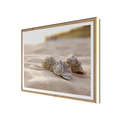 Wandbild gerahmt MUSCHELN AM STRAND 40x50 cm – Maritime Wanddeko Natur - Seitenansicht