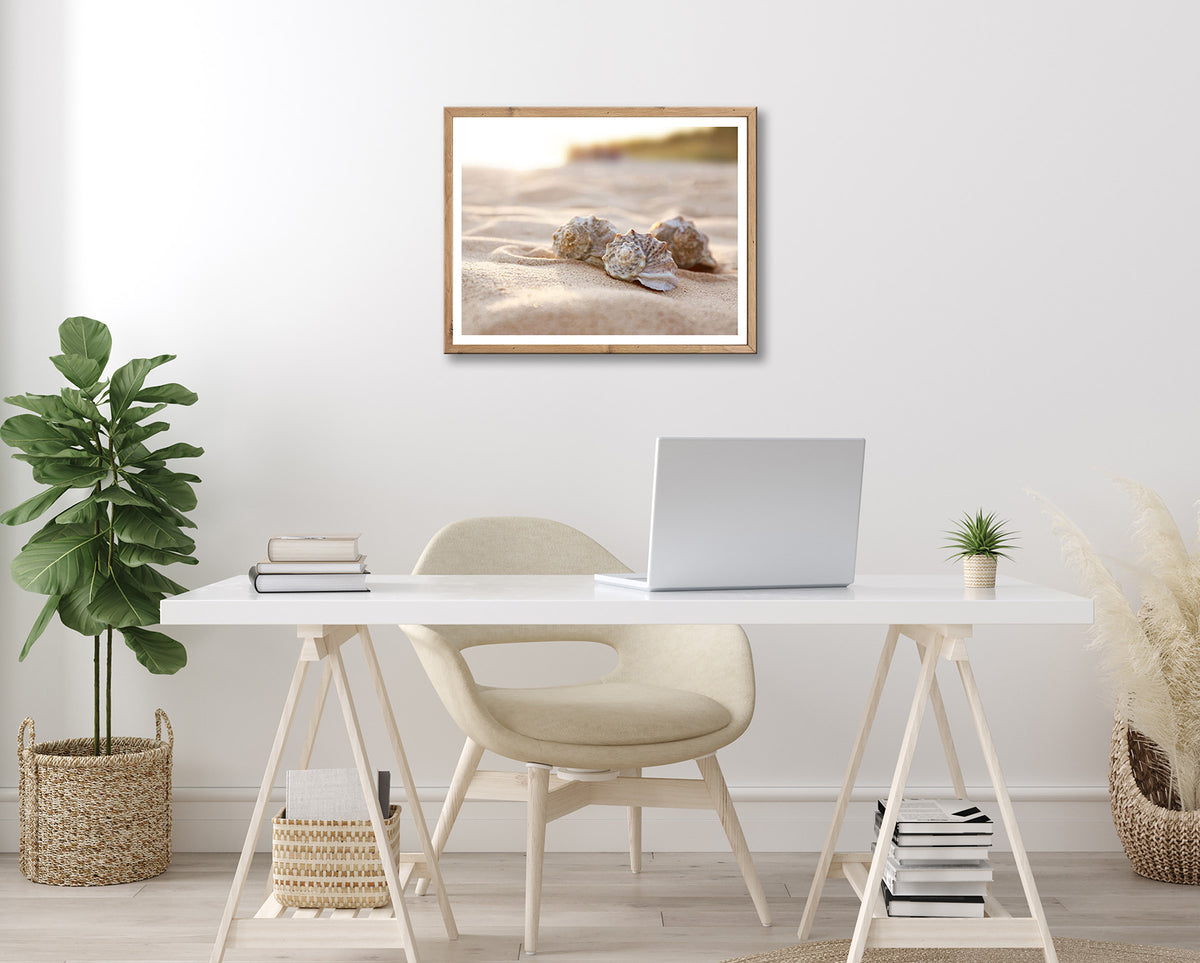 Wandbild gerahmt MUSCHELN AM STRAND 40x50 cm – Maritime Wanddeko Natur - Ambiente 2