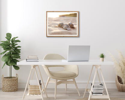 Wandbild gerahmt MUSCHELN AM STRAND 40x50 cm – Maritime Wanddeko Natur - Ambiente 2