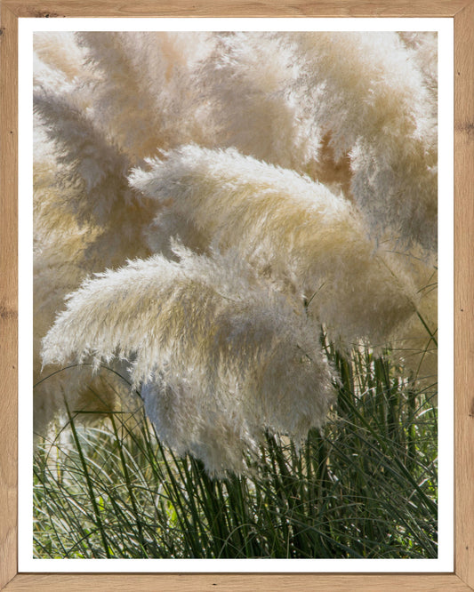 Wandbild gerahmt PAMPASGRAS 40x50 cm – Boho Wandbild Naturtöne