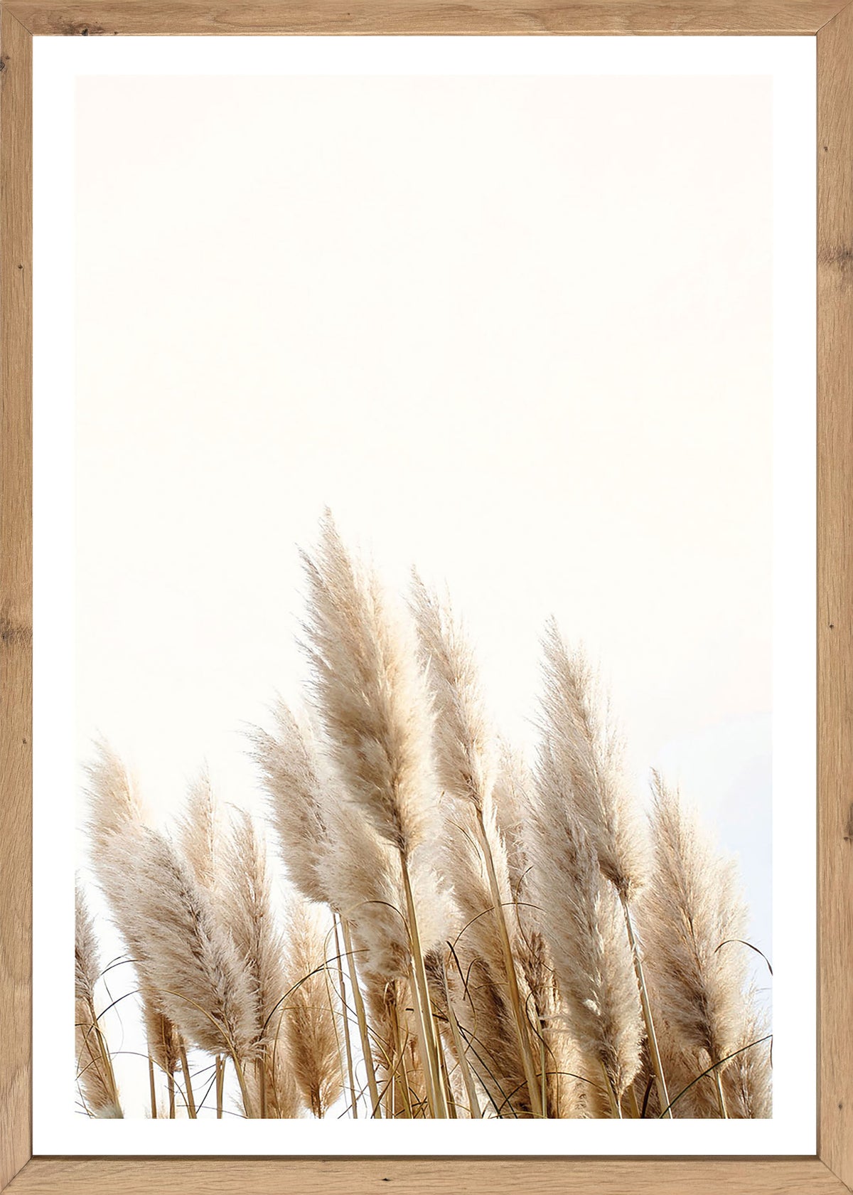 Wandbild gerahmt GETREIDE HALME 50x70 cm – Helles Naturmotiv Scandi Stil