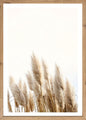 Wandbild gerahmt GETREIDE HALME 50x70 cm – Helles Naturmotiv Scandi Stil