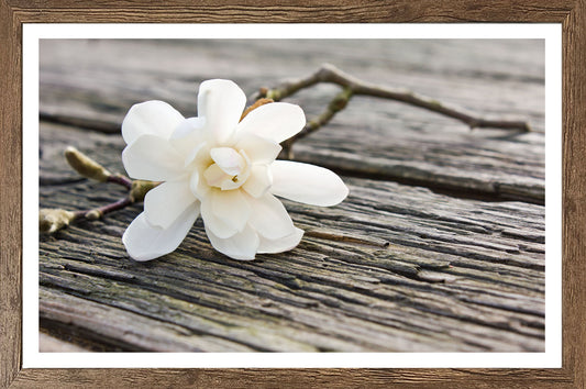 Wandbild gerahmt BLÜTE AUF HOLZ 50x70 cm – Magnolie Holzoptik Scandi Stil