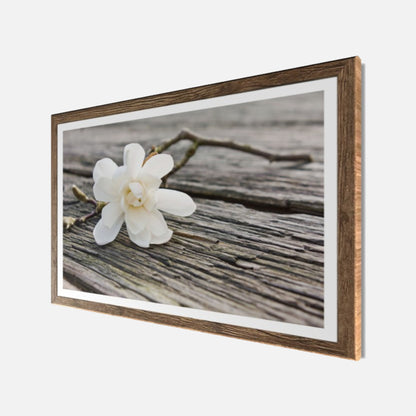 Wandbild gerahmt BLÜTE AUF HOLZ 50x70 cm – Magnolie Holzoptik Scandi Stil - Seitenansicht