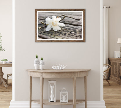 Wandbild gerahmt BLÜTE AUF HOLZ 50x70 cm – Magnolie Holzoptik Scandi Stil - Ambiente 1