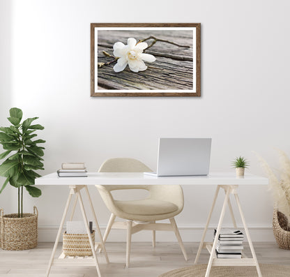 Wandbild gerahmt BLÜTE AUF HOLZ 50x70 cm – Magnolie Holzoptik Scandi Stil - Ambiente 3